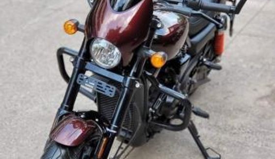 Used Harley-Davidson Street Rod 2019